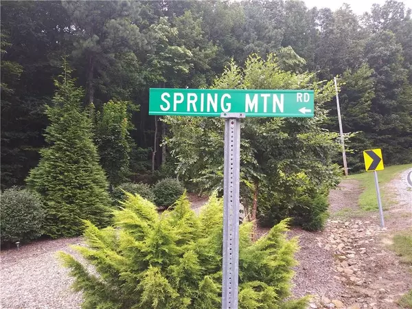 Mcgrady, NC 28649,TBD Spring Mountain RD #Lot 17