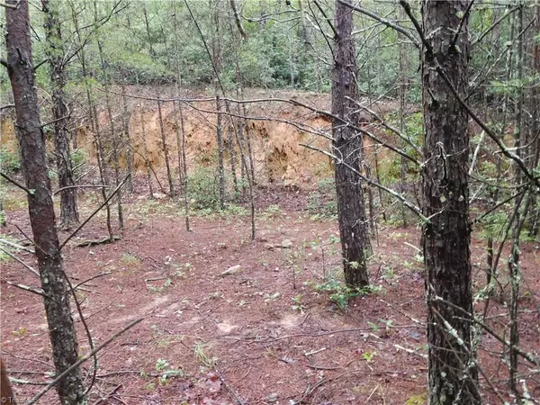 Hays, NC 28635,0 J Reids DR