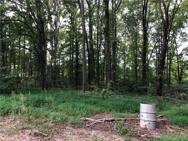 East Bend, NC 27018,4924 Forbush RD