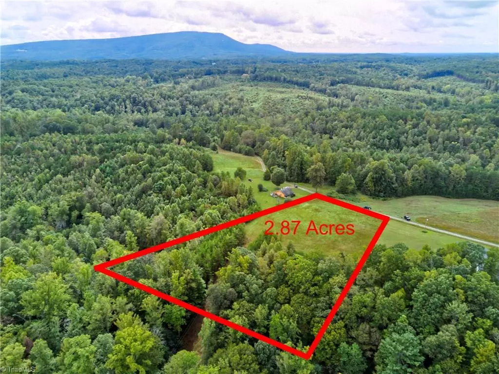 Pilot Mountain, NC 27041,00 Farm RD #2.87