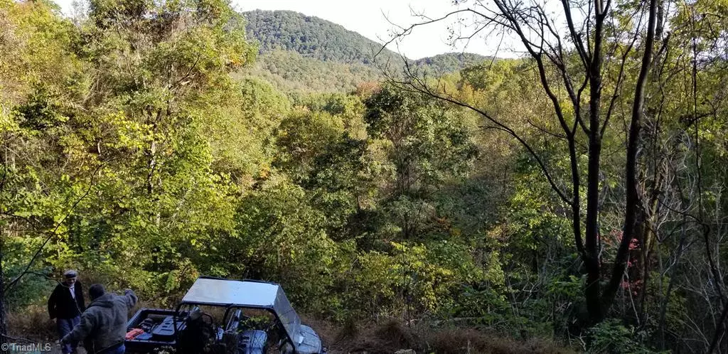 Lenoir, NC 28645,Off Winter Hawk Lane