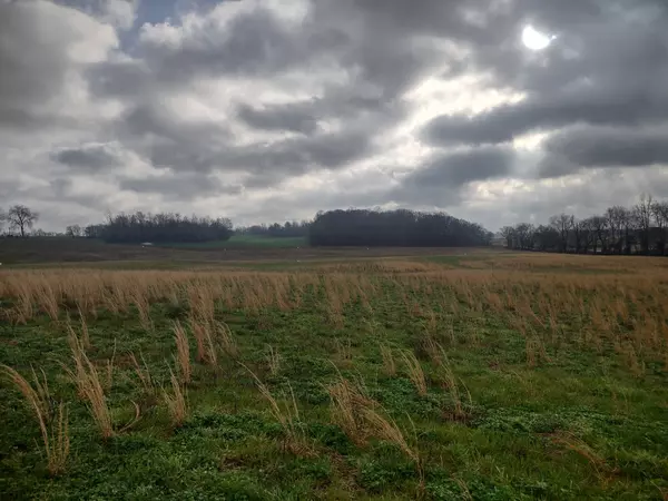 Springfield, TN 37172,10 Highway161