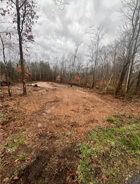 1 Forest Trl, Bumpus Mills, TN 37028