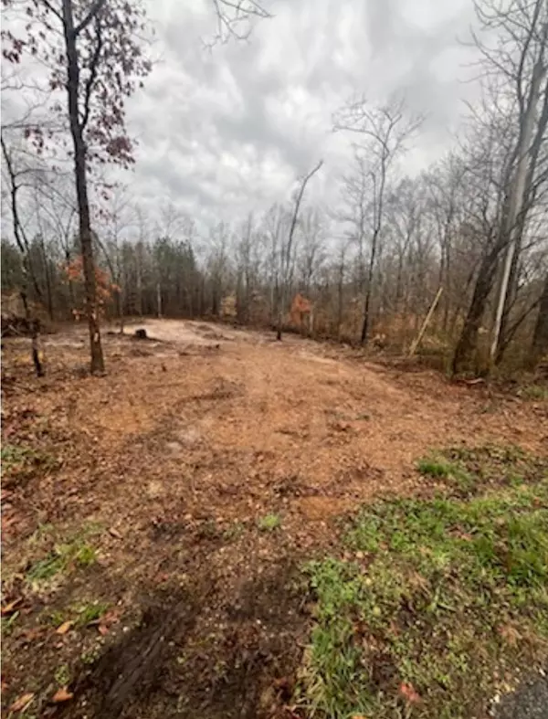 Bumpus Mills, TN 37028,1 Forest Trl