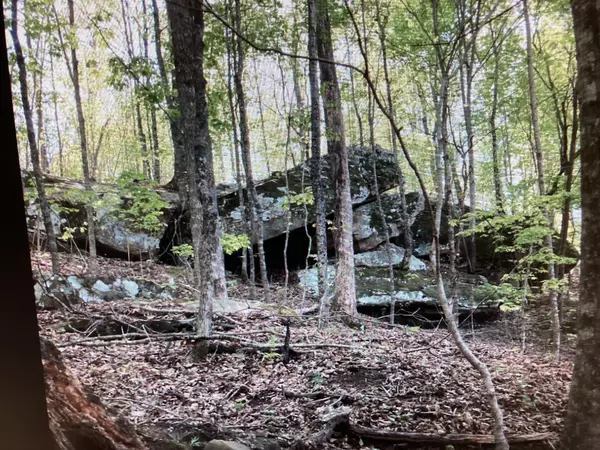 Spencer, TN 38585,0 Lemont-Yates Rd