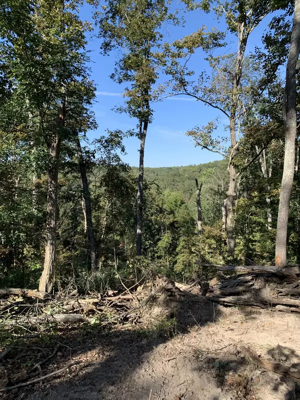 Nashville, TN 37221,0 Hester Beasley Rd