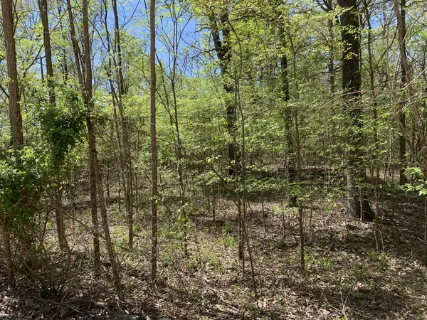 0 Eagles Nest Landing Ln,  Bath Springs,  TN 38311