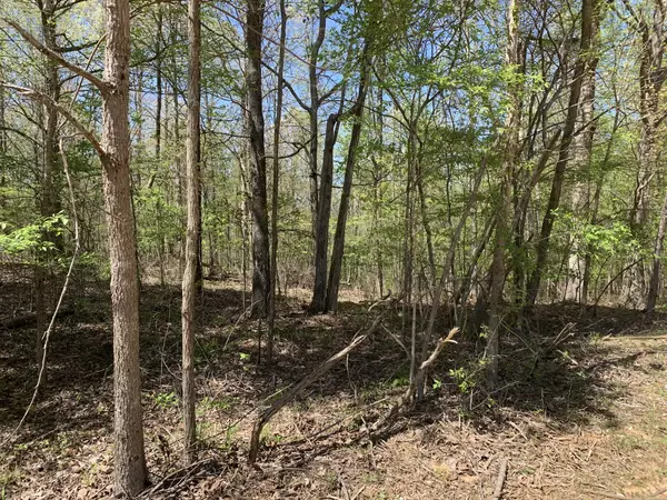 Bath Springs, TN 38311,0 Eagles Nest Landing Ln