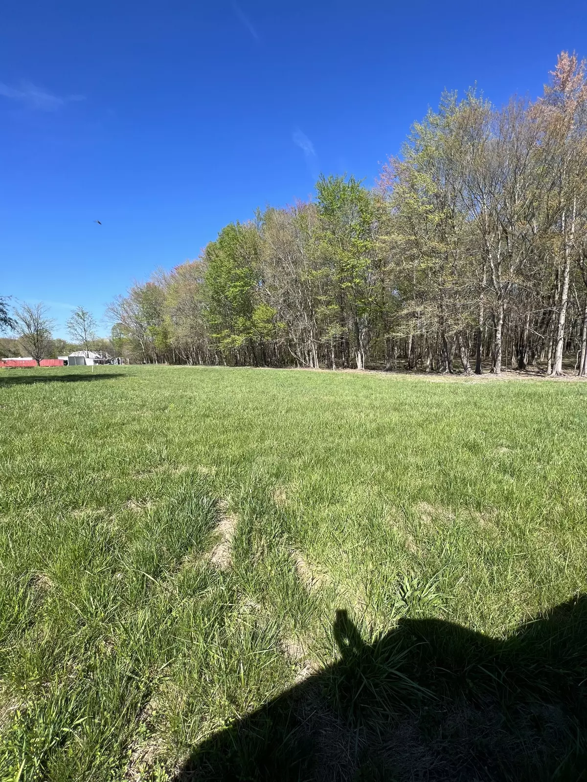 Lafayette, TN 37083,21 Highway 52E