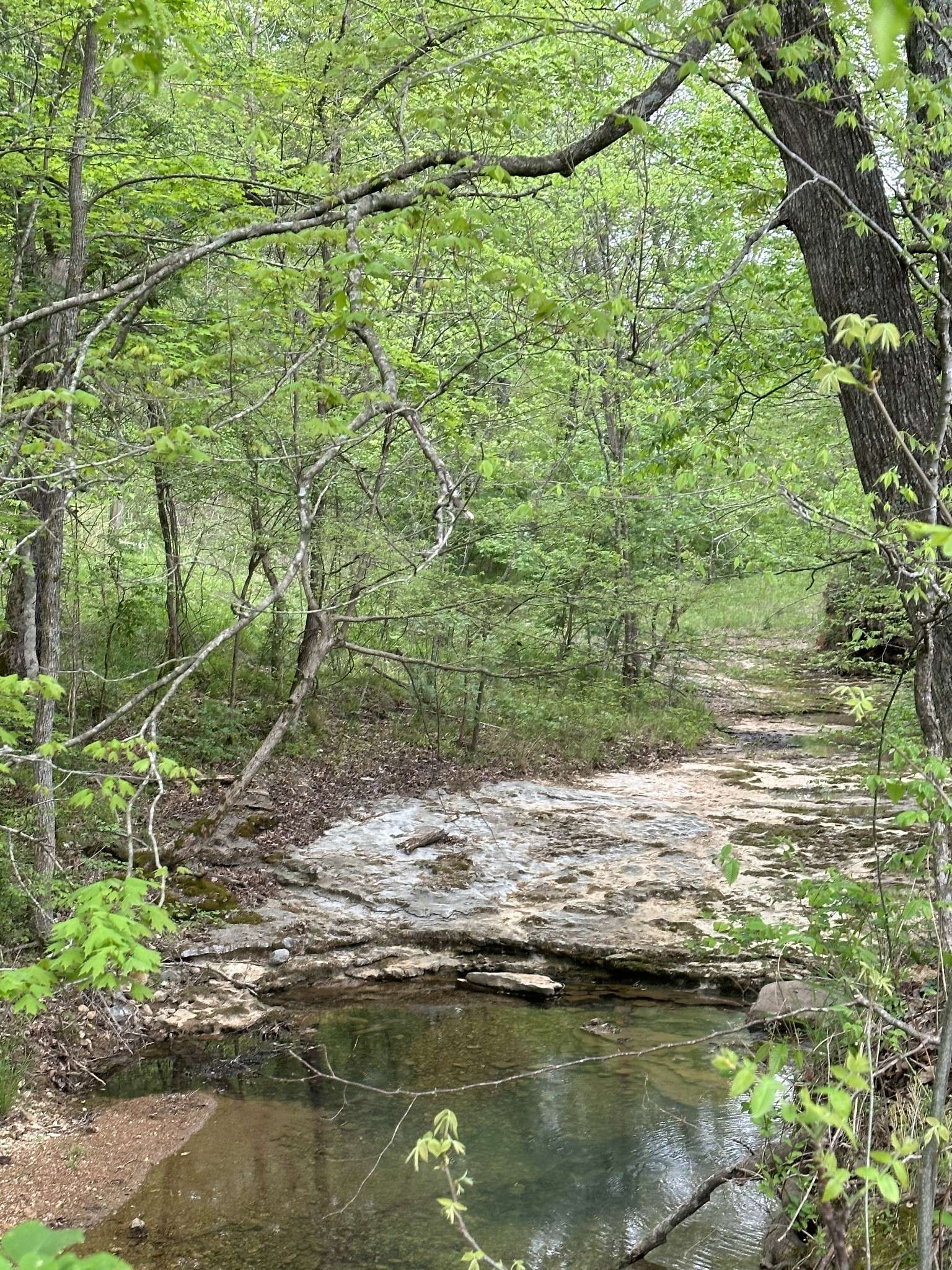 Dickson, TN 37055,0 Smith Hollow Road