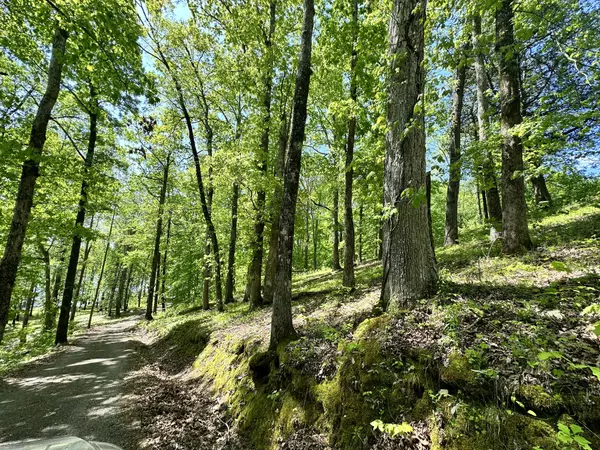 Parsons, TN 38363,14 Kilo Ford Road