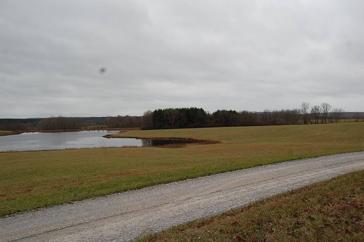 Spencer, TN 38585,5 Bridle Trail