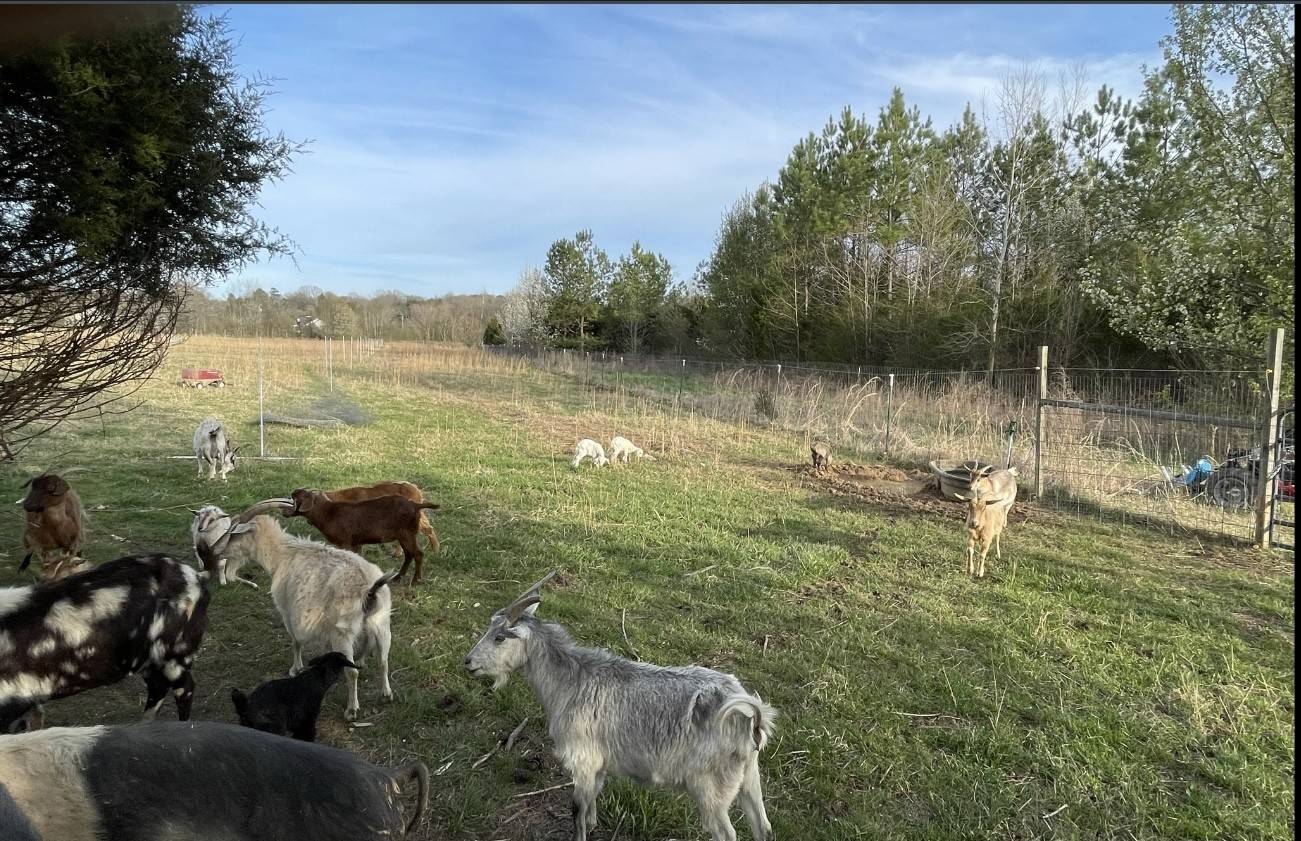 0 Scenic Dr,  Lewisburg,  TN 37091