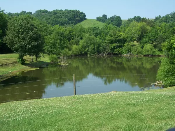 Pulaski, TN 38478,221 Robinson Rd