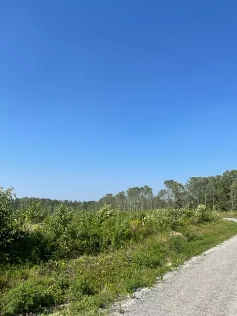 Hohenwald, TN 38462,0 Jennie Smith Rd