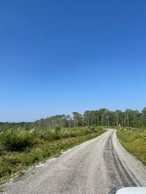 Hohenwald, TN 38462,0 Jennie Smith Rd