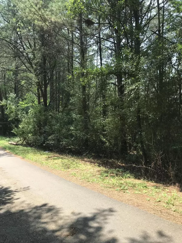 Ducktown, TN 37326,0 Hiwassee Street