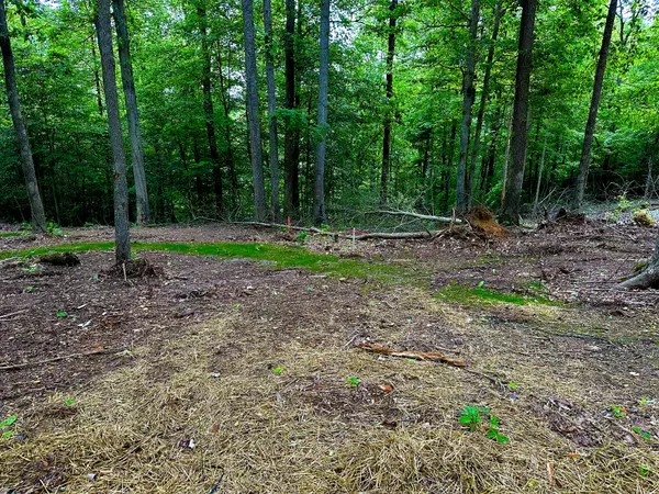 Ashland City, TN 37015,0 Gibbs Rd