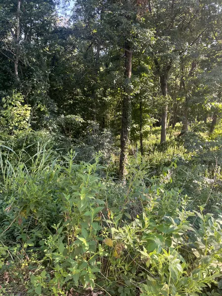 1930 Arlington Rd, Lebanon, TN 37087