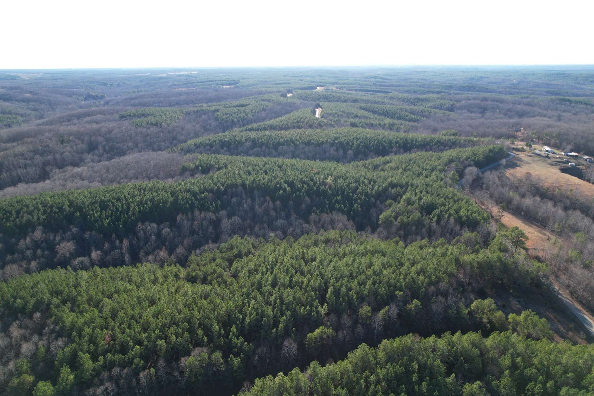 Hohenwald, TN 38462,0 Hudson Rd