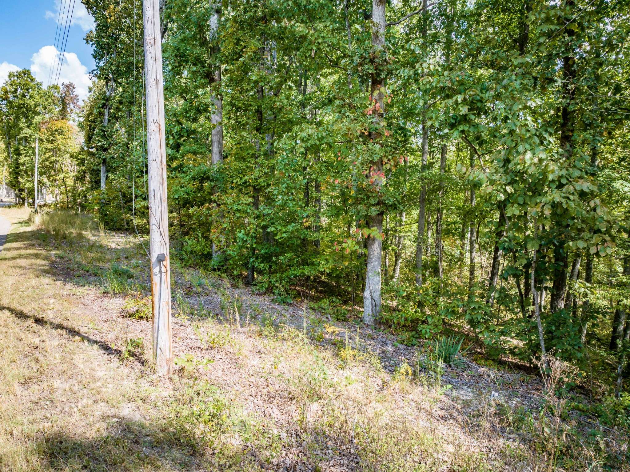 Sugar Tree, TN 38380,0 Ridgeway Drive