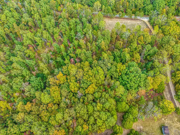 Lyles, TN 37098,0 Primm Springs Road Tract #2