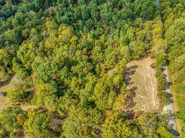 Lyles, TN 37098,0 Primm Springs Road Tract #2