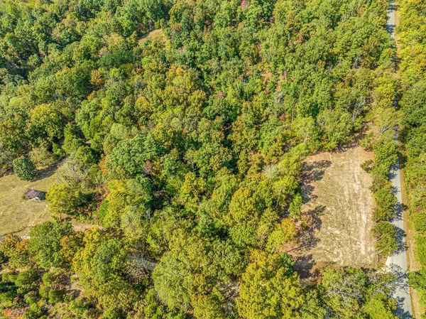 Lyles, TN 37098,0 Primm Springs Road Tract #1