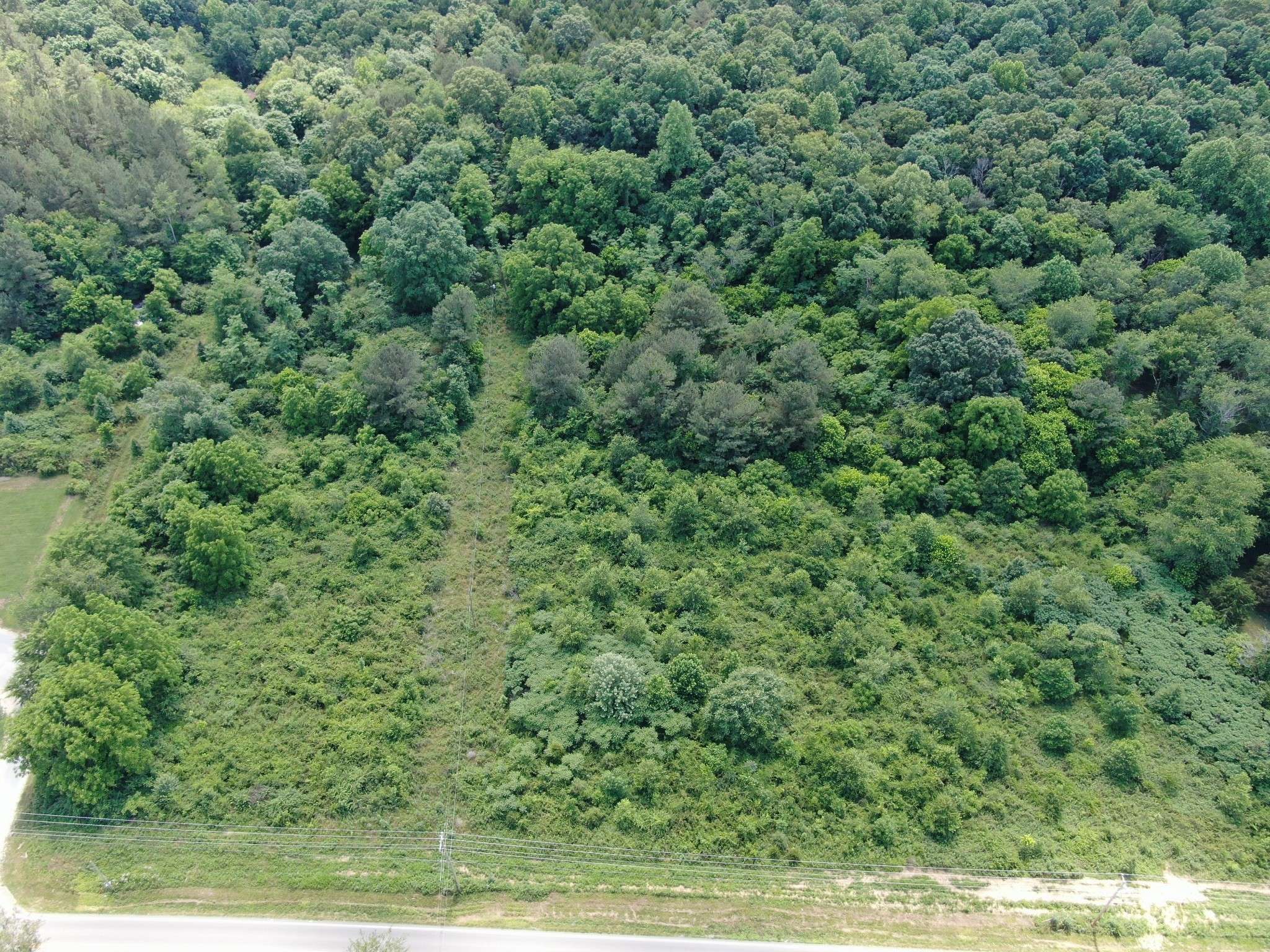 Dickson, TN 37055,1651 Yellow Creek Rd
