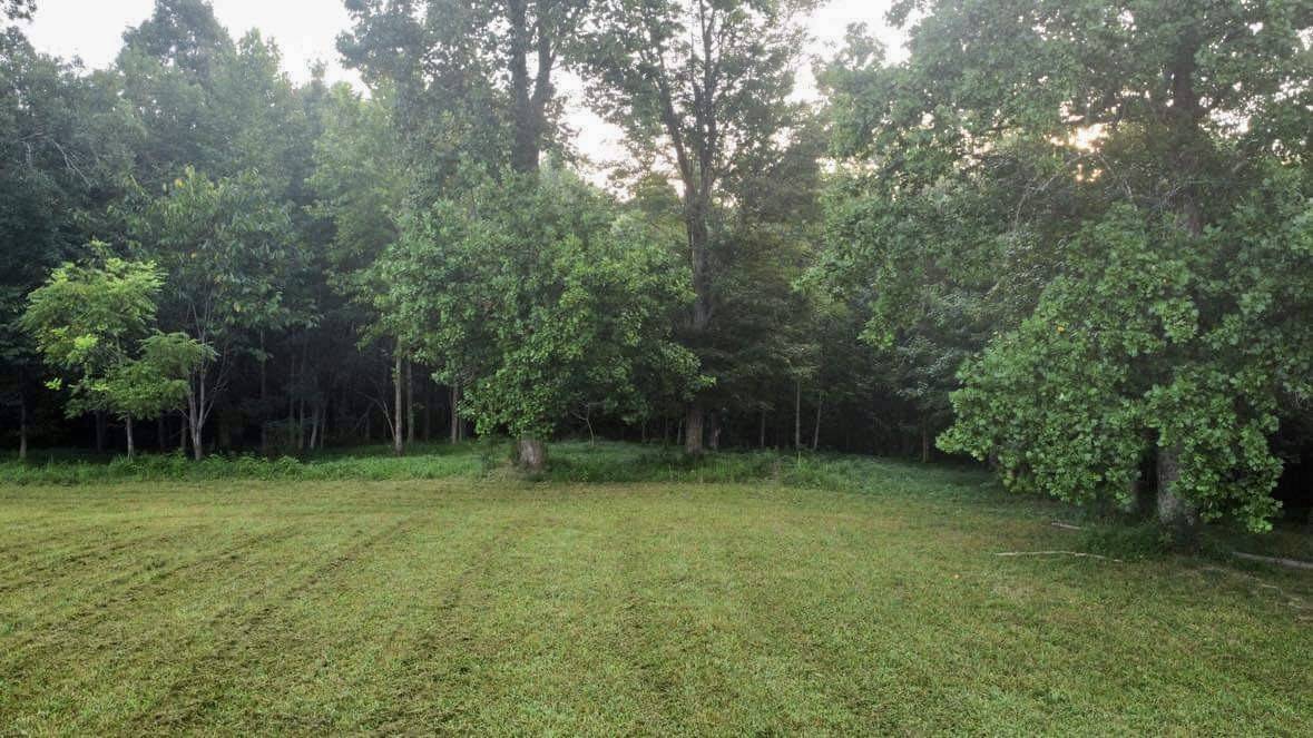 499 Northup Rd TRACT 2,  Portland,  TN 37148