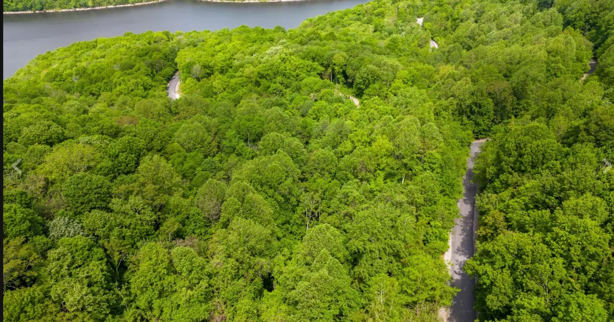Smithville, TN 37166,79 Savannah Dr