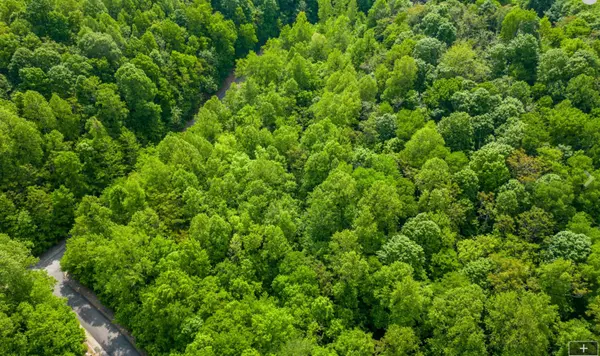 Smithville, TN 37166,79 Savannah Dr
