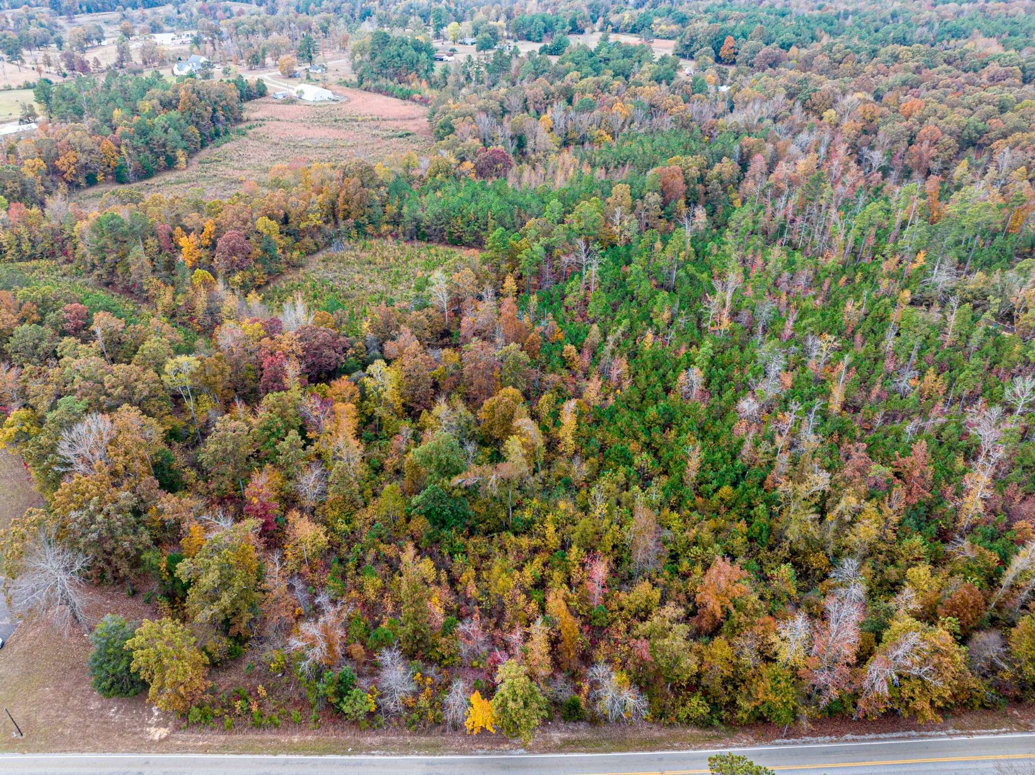 Saltillo, TN 38370,0 Highway 104