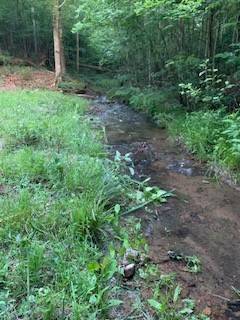 Hohenwald, TN 38462,545 Howard Switch Rd