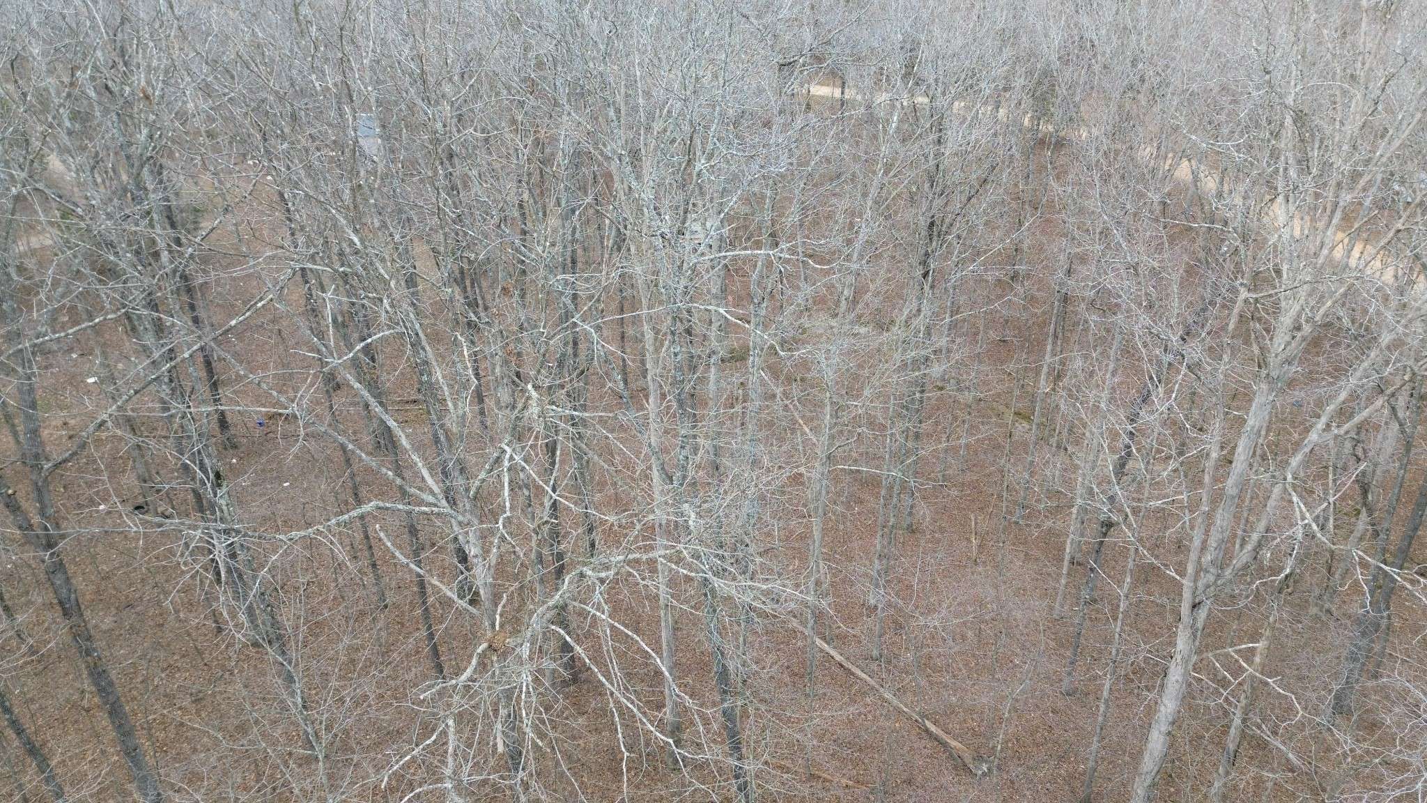 Nunnelly, TN 37137,0 Oak Ct