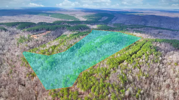 Hohenwald, TN 38462,0 Forest Ridge Rd