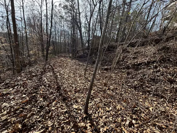 Chattanooga, TN 37421,0 Julian Ridge Road