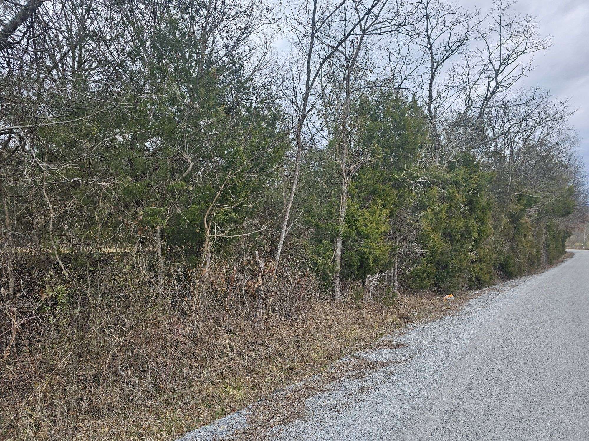 Hampshire, TN 38461,2 Love Branch Rd  Tract 2