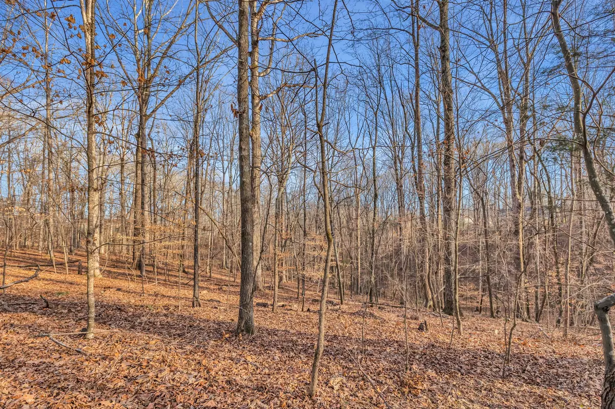 Estill Springs, TN 37330,0 Woodland Way