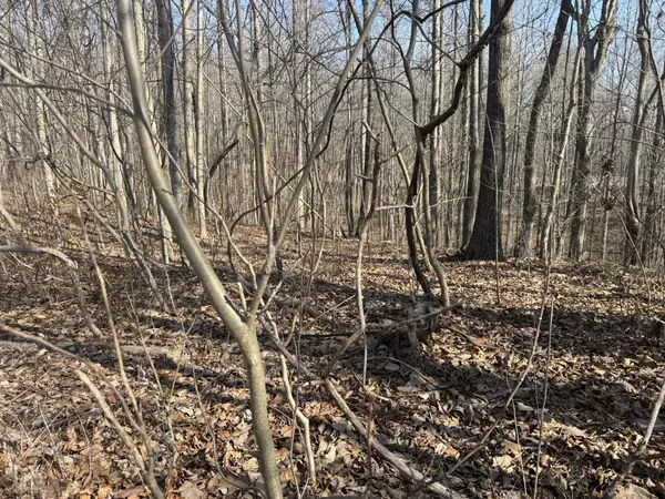 Smithville, TN 37166,0 Tennis Court Center