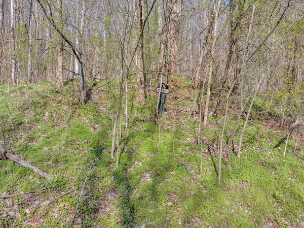 Smithville, TN 37166,0 Shoreside Dr Lot 100