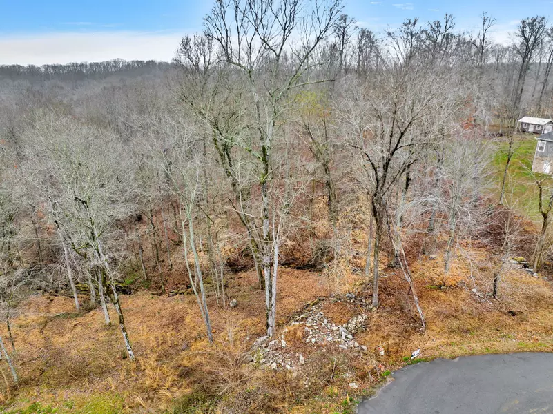 0 Delacy Dr, Fairview, TN 37062