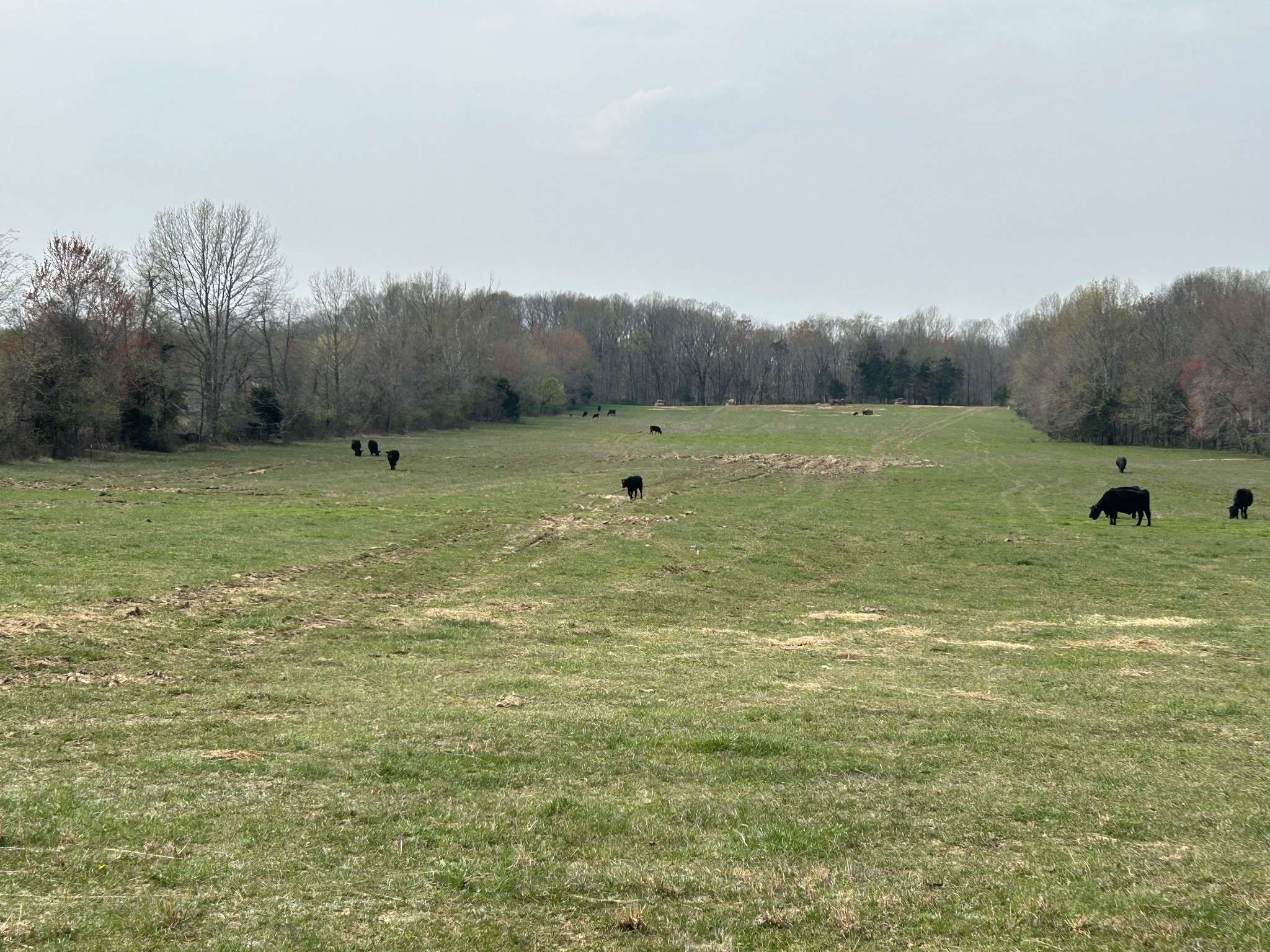 Greenbrier, TN 37073,0 Washington Rd