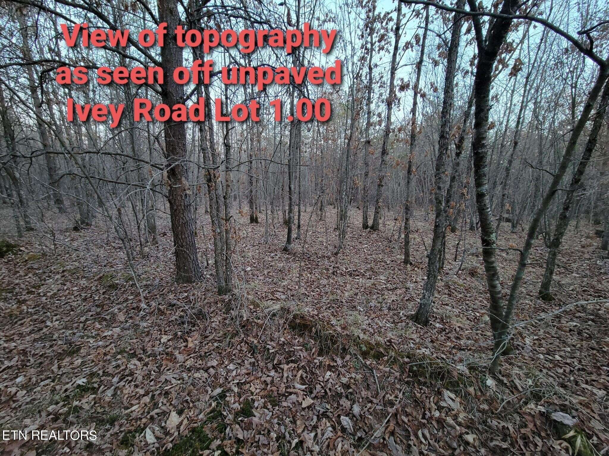 Crossville, TN 38555,0 IVEY ROAD HWY 127 N OFF