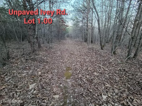 Crossville, TN 38555,0 IVEY ROAD HWY 127 N OFF