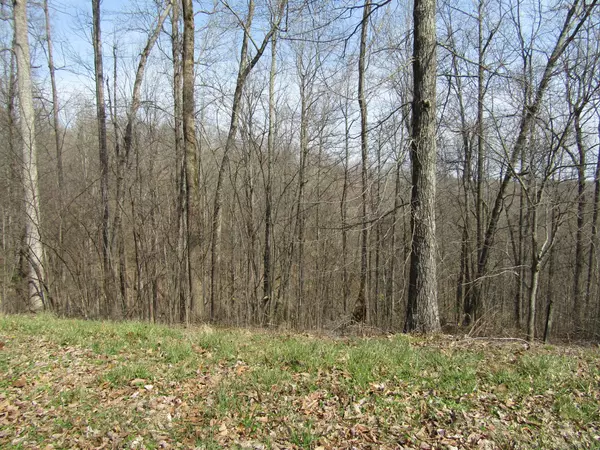 Smithville, TN 37166,0 Hunter S Landing Lane