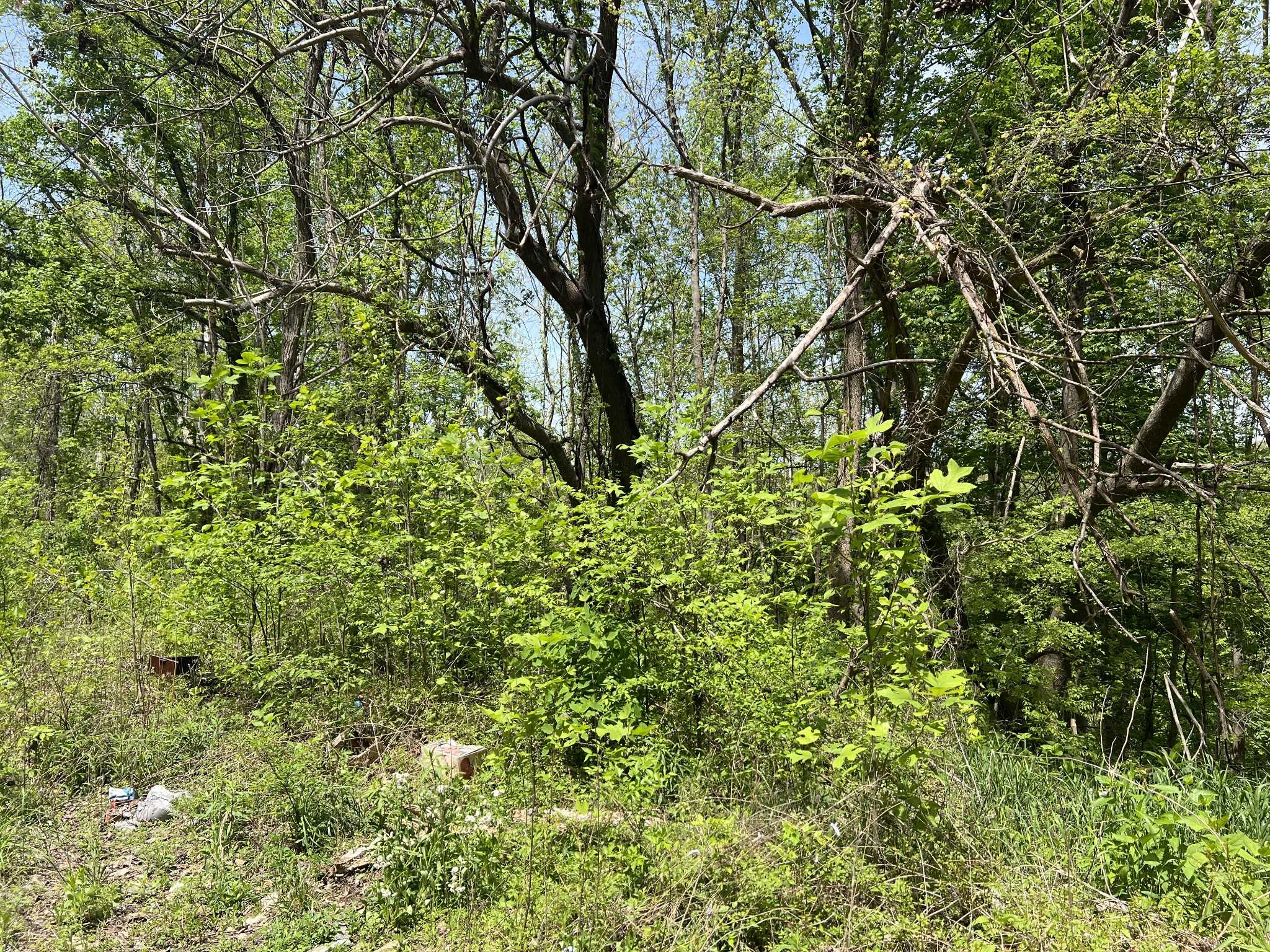 Altamont, TN 37301,108 State Route