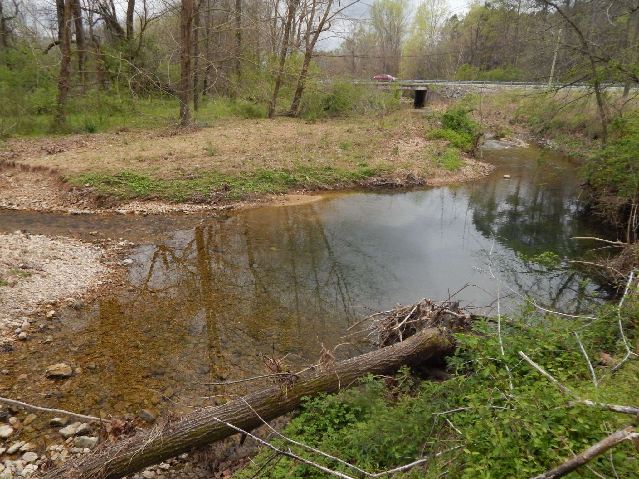 Waynesboro, TN 38485,0 Sunny Acres Dr