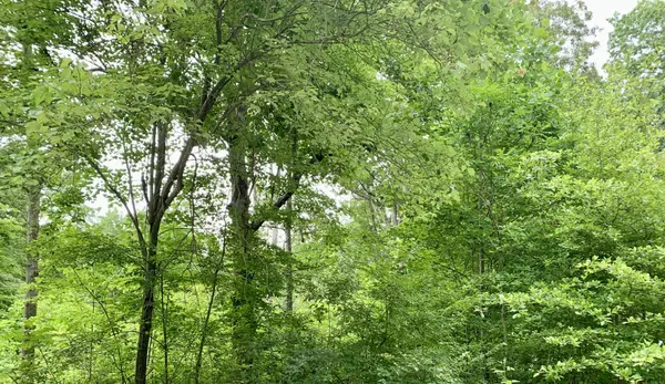 Beechgrove, TN 37018,0 General Lee Drive