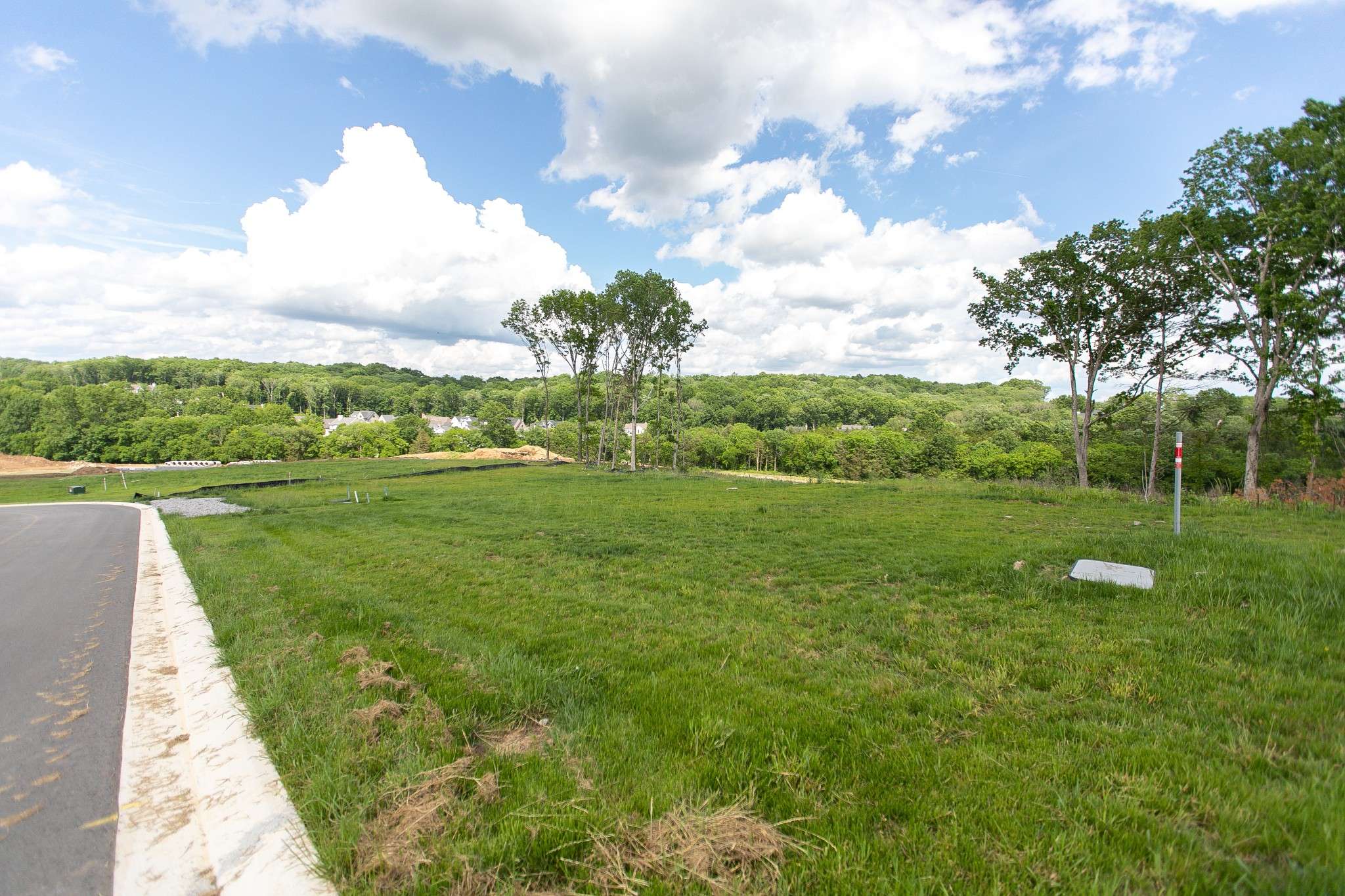 College Grove, TN 37046,8749 Weller Ln